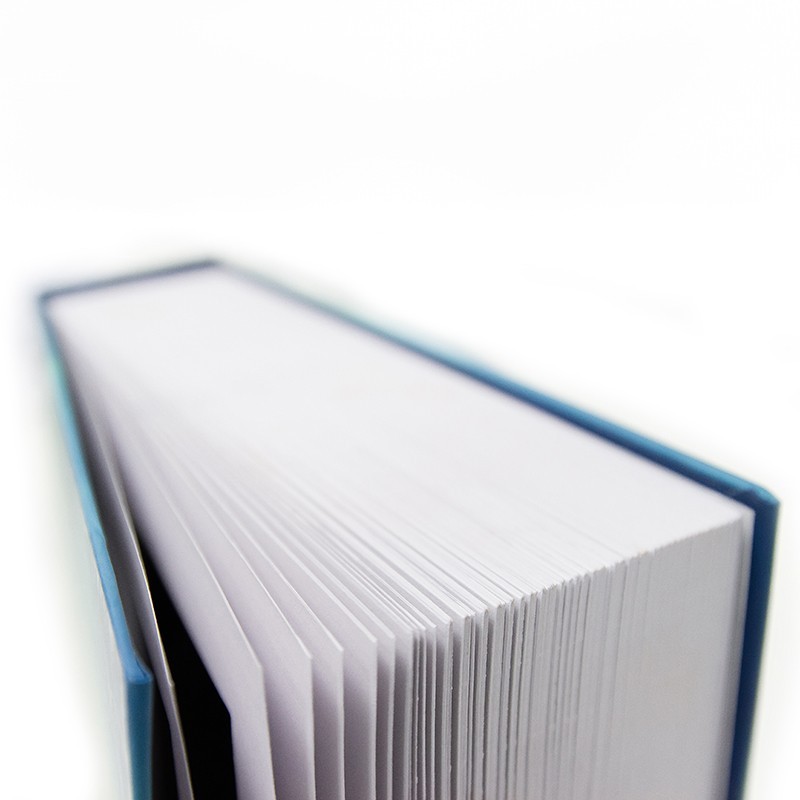 Book Camouflaged Cash Box like a Book | ARREGUI