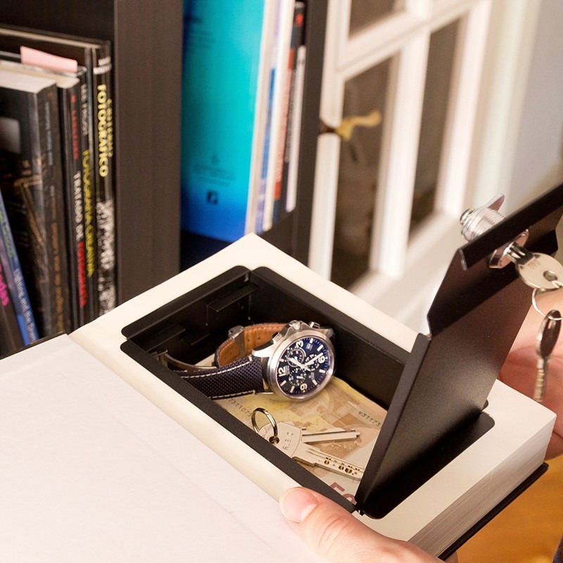 Book Camouflaged Cash Box like a Book | ARREGUI