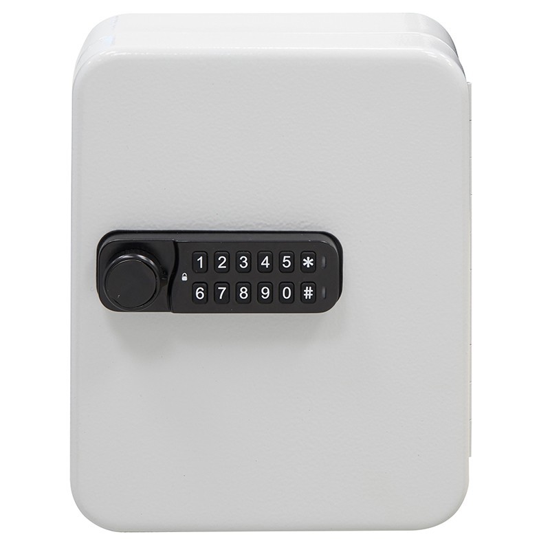 Electronic Key Cabinet 40 Keys Fixed Hooks | ARREGUI