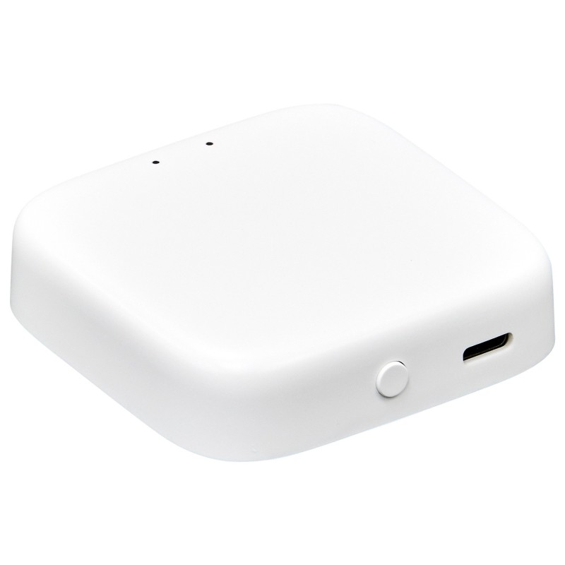 Gateway Bridge | ARREGUI