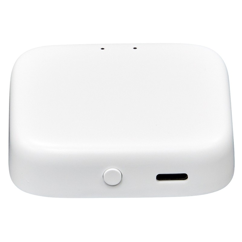 Gateway Bridge | ARREGUI