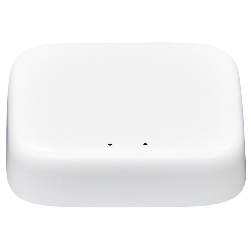 Gateway Bridge | ARREGUI