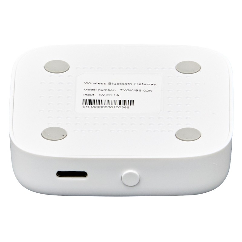 Gateway Bridge | ARREGUI