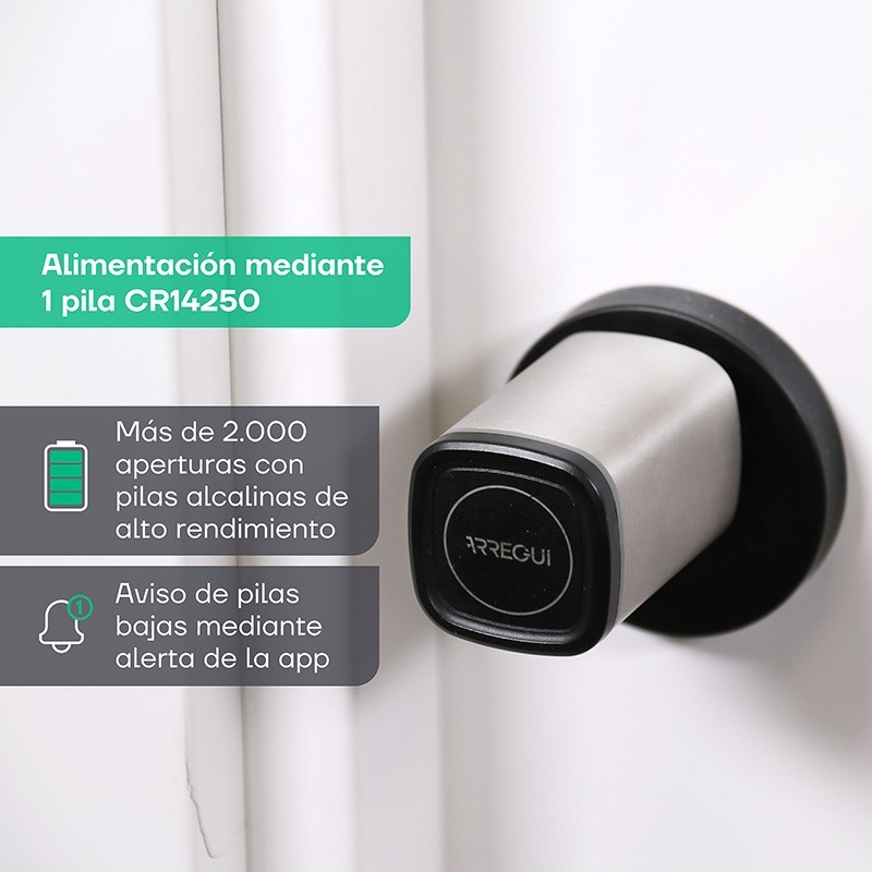 Electronic Cylinder Cyclo | ARREGUI