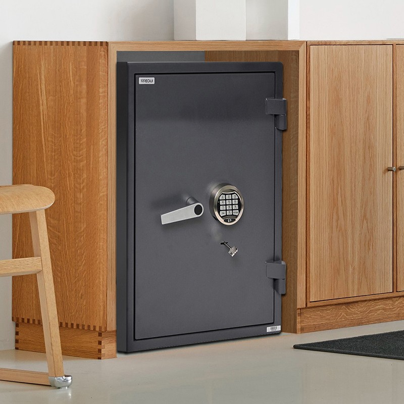 Cassaforte Professionali
